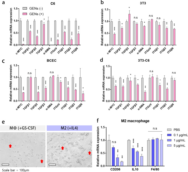 植物外泌体提取鉴定