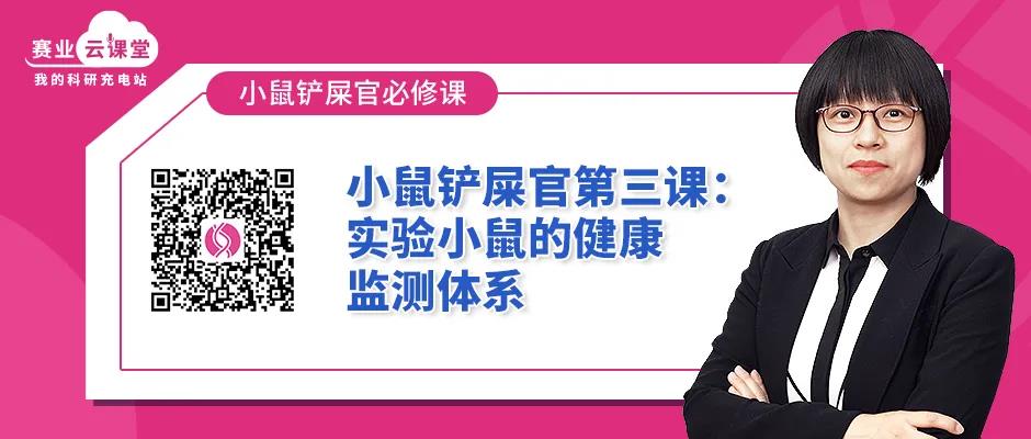 小鼠溃疡性皮炎该怎么办