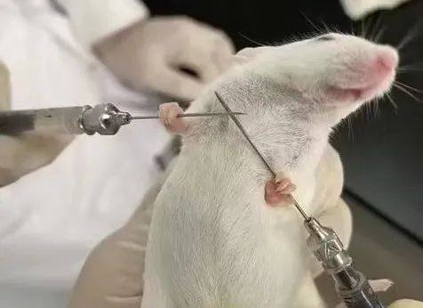 一看就会！超详细「他莫昔芬给药」攻略