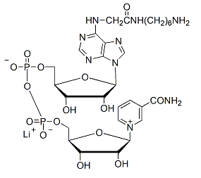 NAD-己胺,锂盐：生物制药原料，超低价格抢购