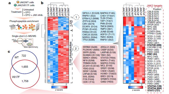 quan球组学大咖2020新进展, Orbitrap助力ding级研究