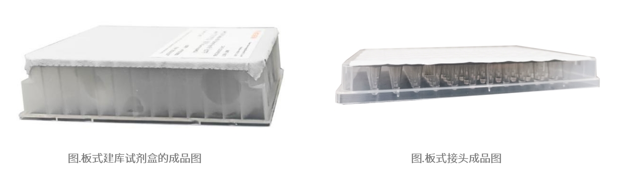 即拆即用！提升效率！板式NGS建库试剂盒，自动化工作站的CP！