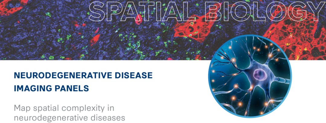 组织成像新Panel发布，助力推进神经退行性疾病研究！