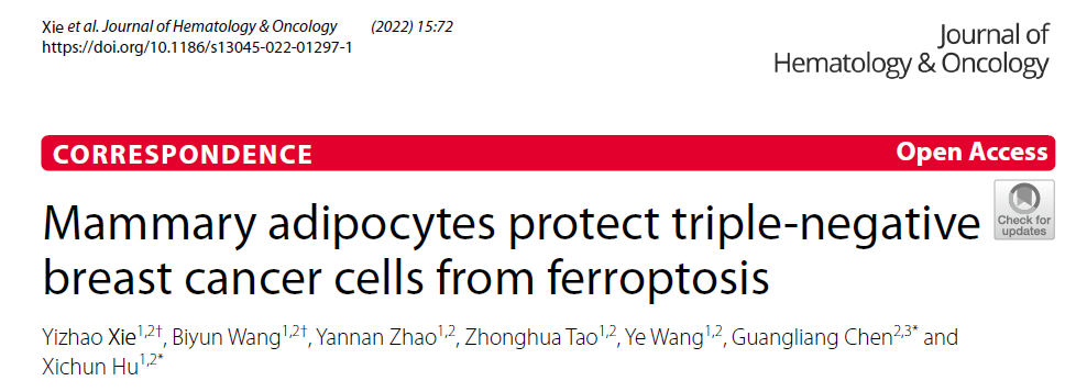 客户案例 | JHO (IF=23)：脂肪细胞对三阴性乳腺癌铁死亡具有保护作用
