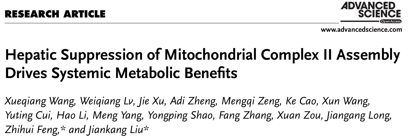 Advanced Science（IF 16.806）| 轻断食促健康奥秘：靶向肝脏线粒体机制