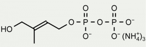 [干冰]1-羟基-2-J基-2-D烯-4-基-4-二磷酸(HDMAPP)，品质保证，价格惊喜！