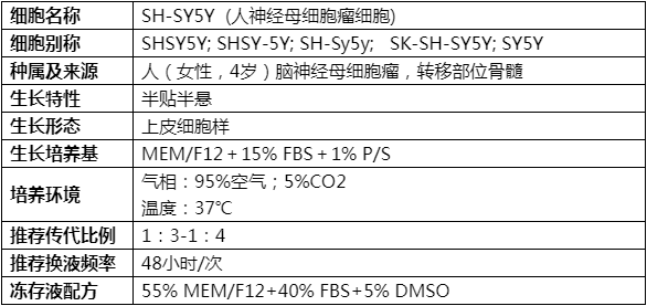 如何养好SH-SY5Y细胞，SH-SY5Y细胞培养有哪些细节要注意