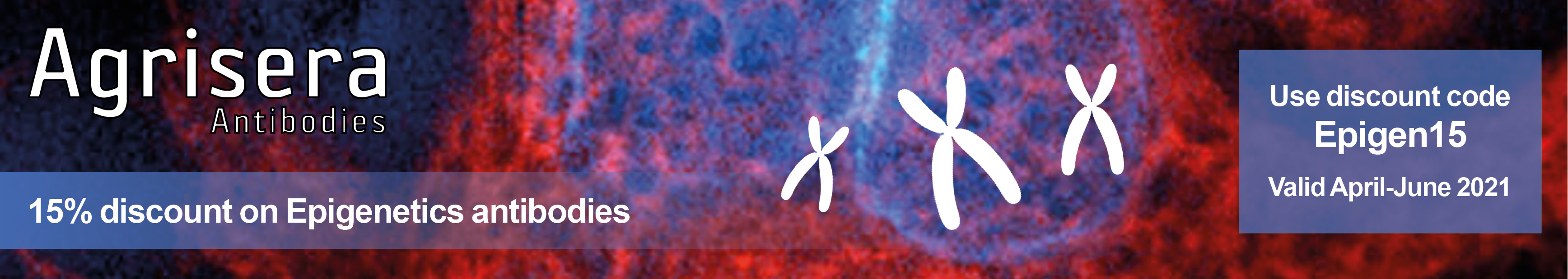 Epigenetic research antibody promotion