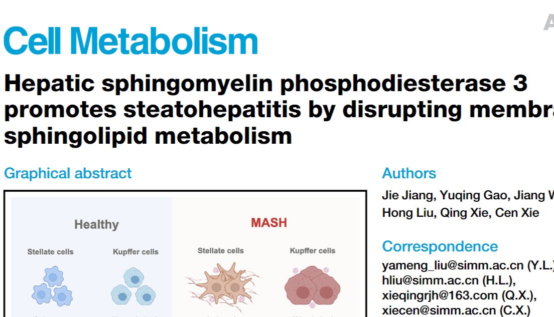 【IF 30.9】 SMPD3 驱动 MASH 进展机制揭秘，Absin产品助力关键实验验证