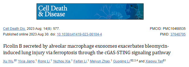 【Cell Death Disease】9分，肺泡巨噬细胞外泌体分泌的Fcn B通过cGAS-STING信号通路加重BLM诱导的肺损伤