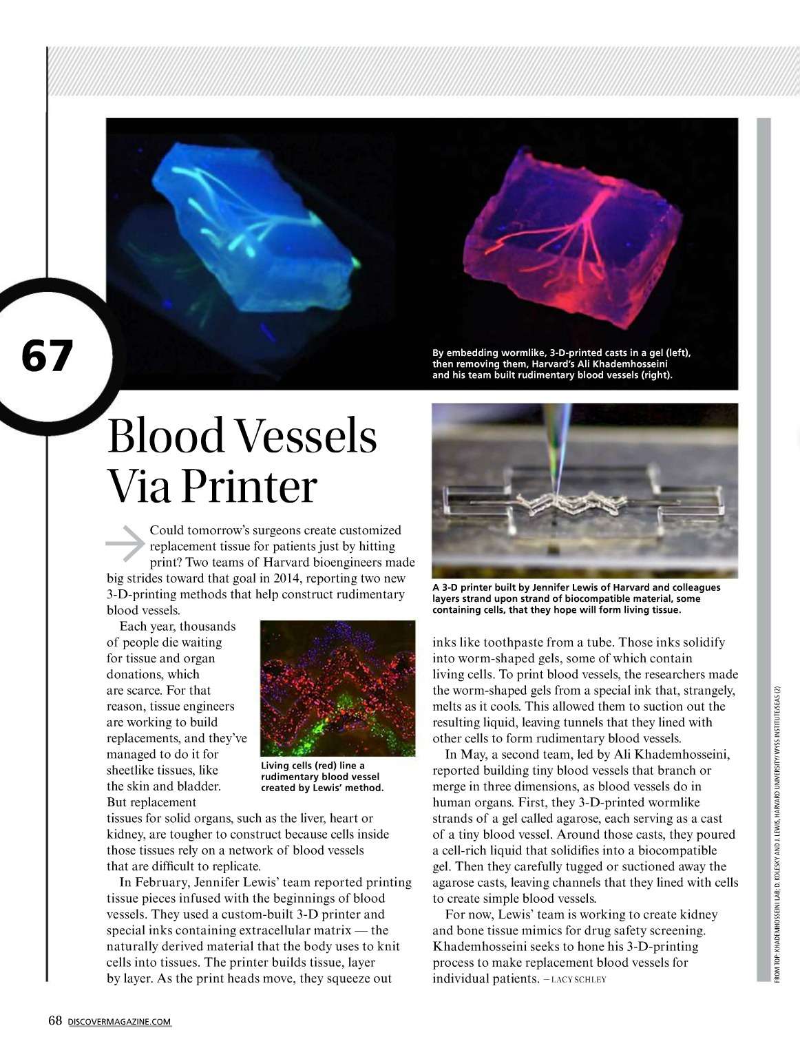 默克化学2.0系列网络课程（四）学堂科普：3D生物打印“印”出生物医学研究新篇章 