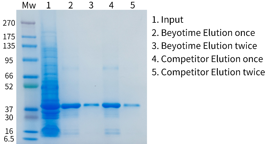 1小时His标签蛋白纯化磁珠试剂盒三重上新！