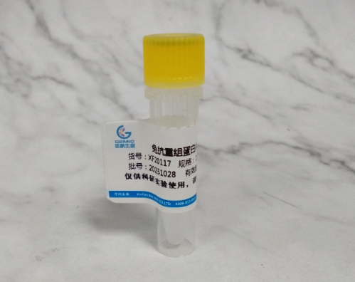 兔抗重组蛋白A（SPA）抗体的特异性