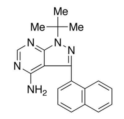 TRC病毒-宿主融合抑制剂研究丨4-氨基-1-叔丁基说明书
