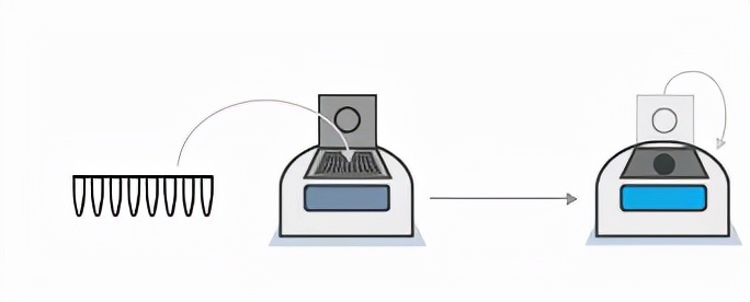 支原体常规检测方法汇总（之一）