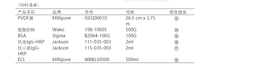 新闻图片8