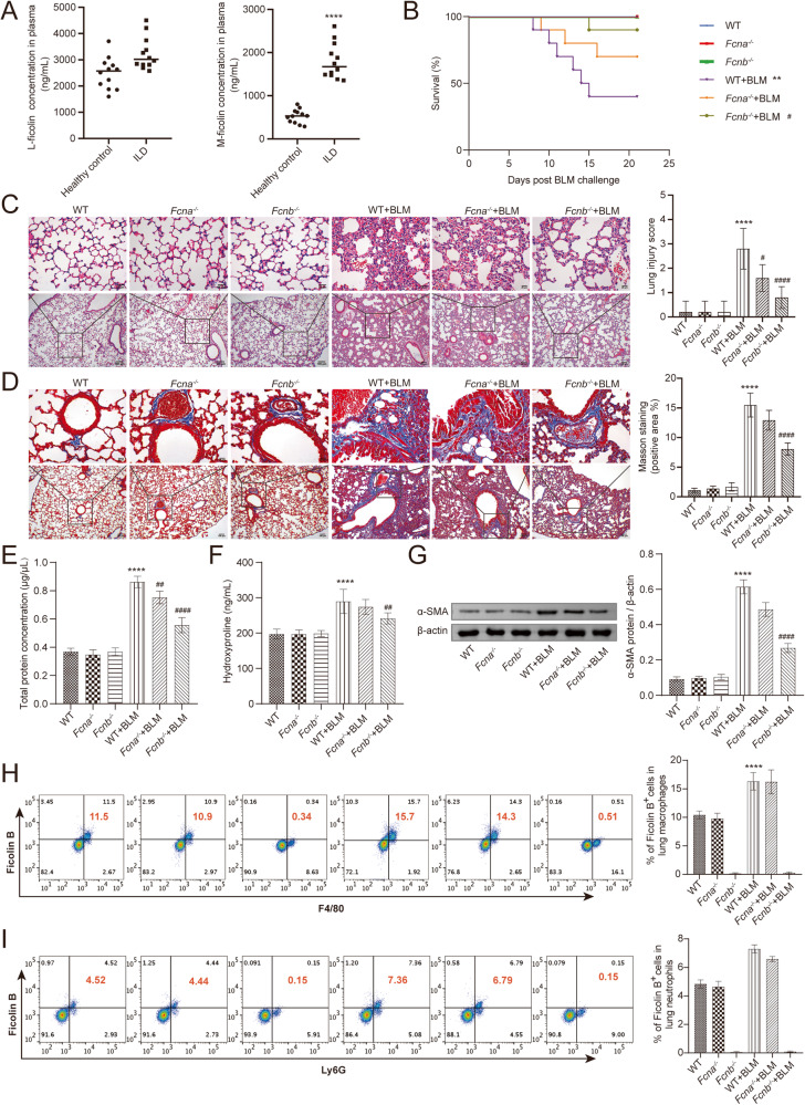 外泌体技术服务