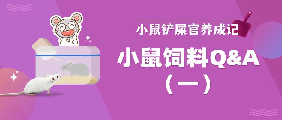 小鼠饲料怎么选？赛博士干货大大大放送！