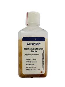 铁强化新生牛血清