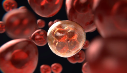 艾美捷Jotbody癌症与免疫治疗研究方案