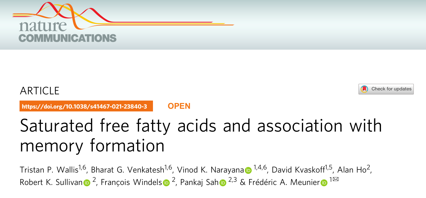Nature Communications​ | 饱和脂肪酸与记忆形成相关