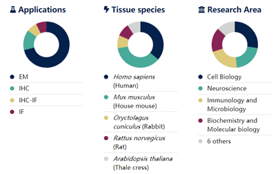 Jackson丨艾美捷代理12nm胶体金-AffiniPure山羊抗兔IgG（H+L）