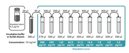 中英文丨人干扰素Y ELISA开发试剂盒说明书 中英文丨人干扰素Y ELISA开发试剂盒说明书