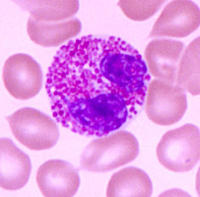 染色液产品“星”推荐