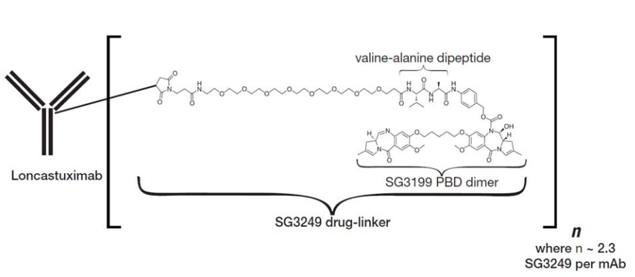 图片9.png 图片9.png