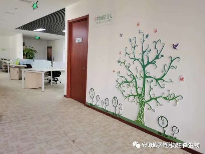 安诺伦重磅代理LB产品精品推荐！双11折扣钜惠超多福利~