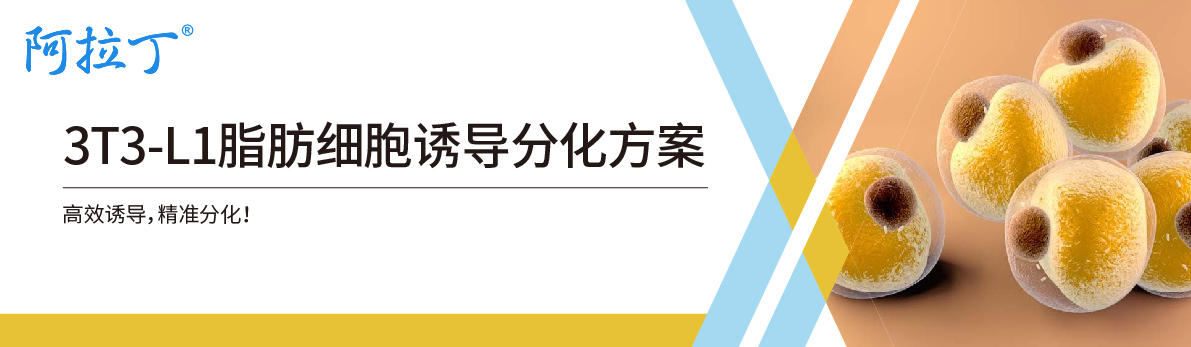 【阿拉丁】3T3-L1脂肪细胞诱导分化方案