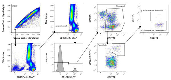 流式细胞术表型鉴定