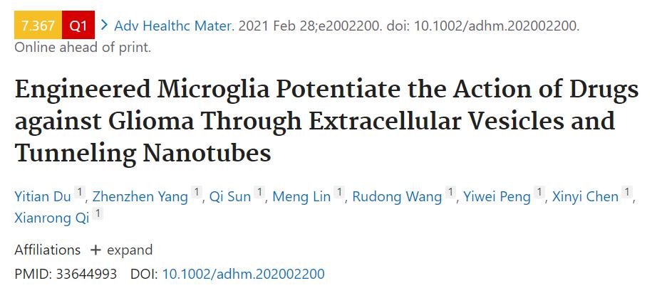 工程化的小胶细胞通过细胞外囊泡和隧穿纳米管增强药物对抗神经胶质瘤作用