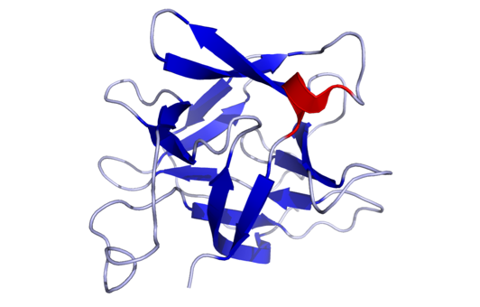 炎性多因子检测之白介素细胞18(IL-18)