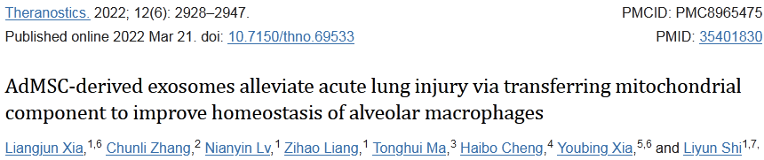 【Theranostics】11分+，脂肪MSC外泌体治疗急性肺损伤的机制研究