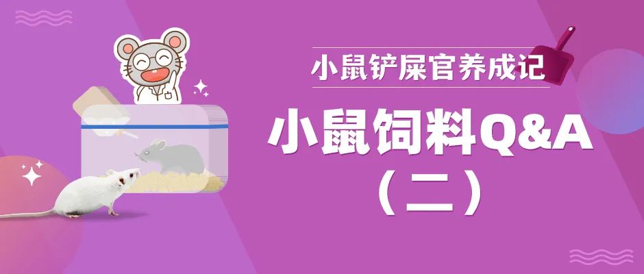 小鼠饲料辐照灭菌真的有必要吗？七个知识点不容错过！