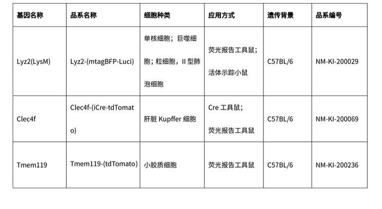 巨噬细胞上线，贴心呵护您的每一天