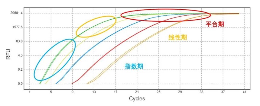 实验技巧 | MDL支招，搞定qPCR数据分析