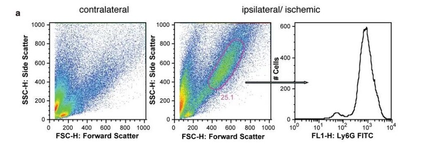 干货分享 | 一文读懂流式细胞术