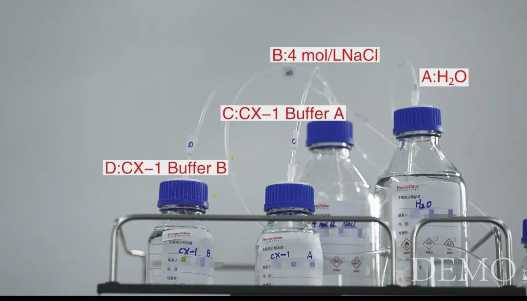 拥有“全能Buffer”，助攻蛋白平台表征