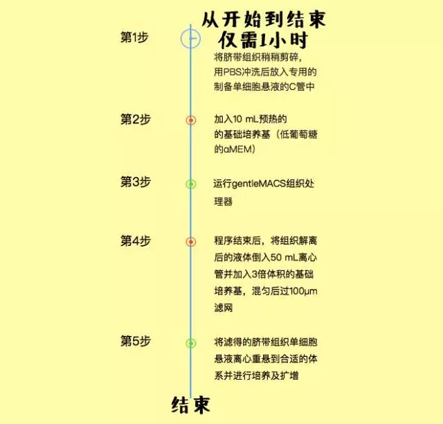 间充质干细胞提取新方法