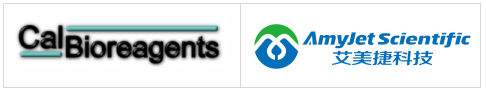 CalBioreagents丨艾美捷丨ACTH N端单克隆抗体   