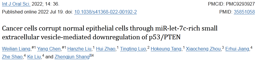口腔领域大佬这样发高分文章，肿瘤微环境→外泌体诱导正常上皮细胞致癌转化，值得一看！