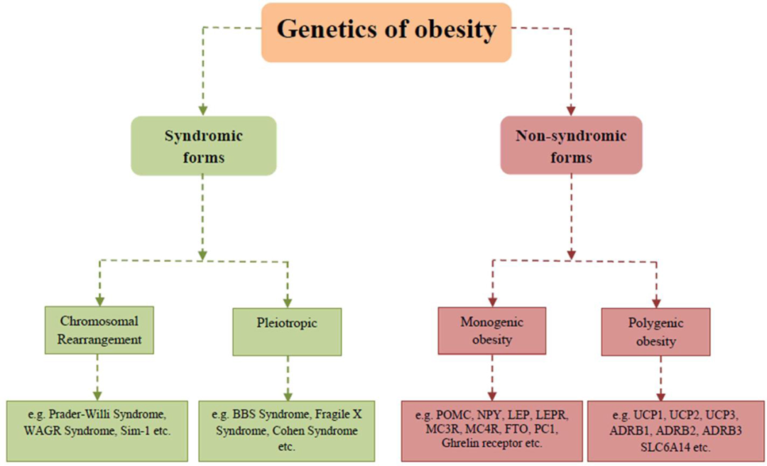 百里挑一，这些疾病你选对模型了吗？
