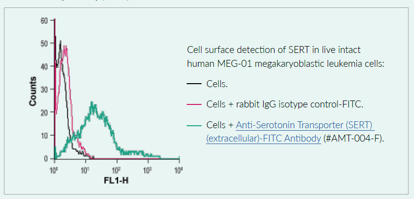 活细胞呈像在神经传递领域的应用