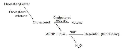 试剂准备&样品制备丨艾美捷胆固醇荧光测定试剂盒 试剂准备&样品制备丨艾美捷胆固醇荧光测定试剂盒