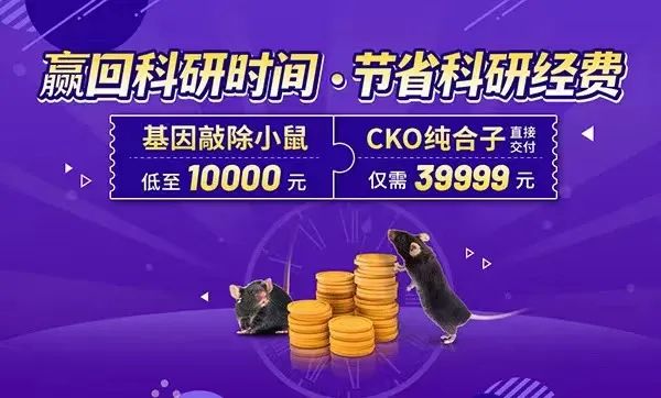 MMP10-新的足细胞损伤介导分子