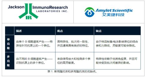 Jackson科普:如何选择一抗&抗体验证的注意事项 Jackson科普:如何选择一抗&抗体验证的注意事项