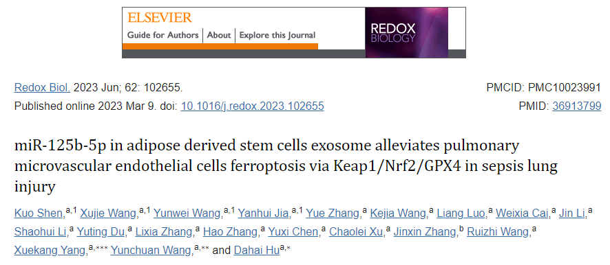 【Redox Biol】11+高分文章，干细胞外泌体如何做铁死亡研究？值得观看！
