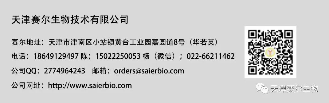 细胞凋亡、焦亡、铁死亡、铜死亡、细胞自噬及相关蛋白标志物